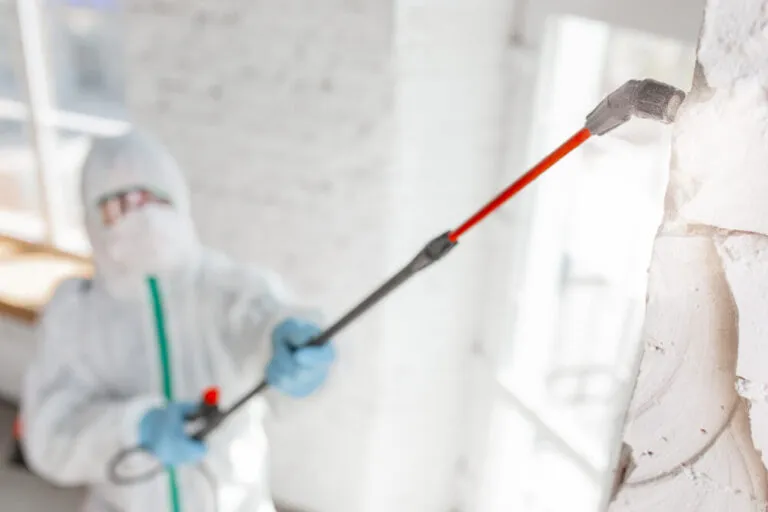 mold-removal-from-wall