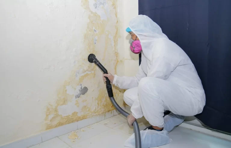 steps-to-ensure-proper-mould-remediation